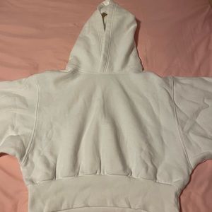 Aritzia Cropped Hoodie